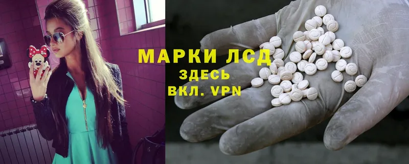 ЛСД экстази ecstasy  закладка  Бердск 